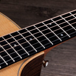 Taylor-414ce-5