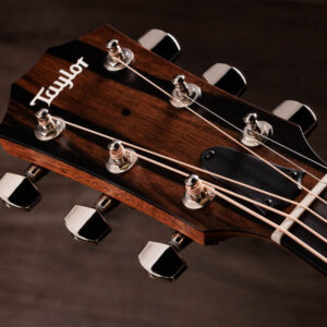 Taylor-414ce-6