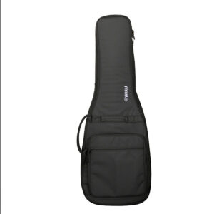 PACS_PLUS_11SM_PGN_f_0001_1ab7a8c5bd2b77cb72dead2ab727a6fd-2