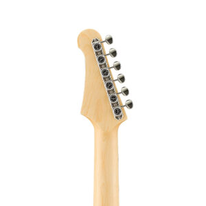 PACS_PLUS_11SM_PGN_f_0001_1ab7a8c5bd2b77cb72dead2ab727a6fd-3