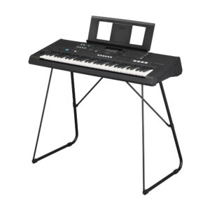 PSR-E483_a_0003_4177a62bd355eadb44f68b3d38048904